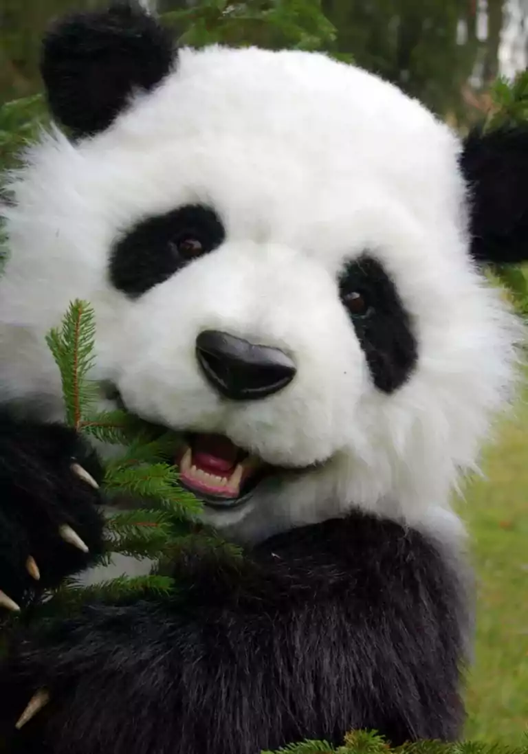 realistic animatronic panda costume