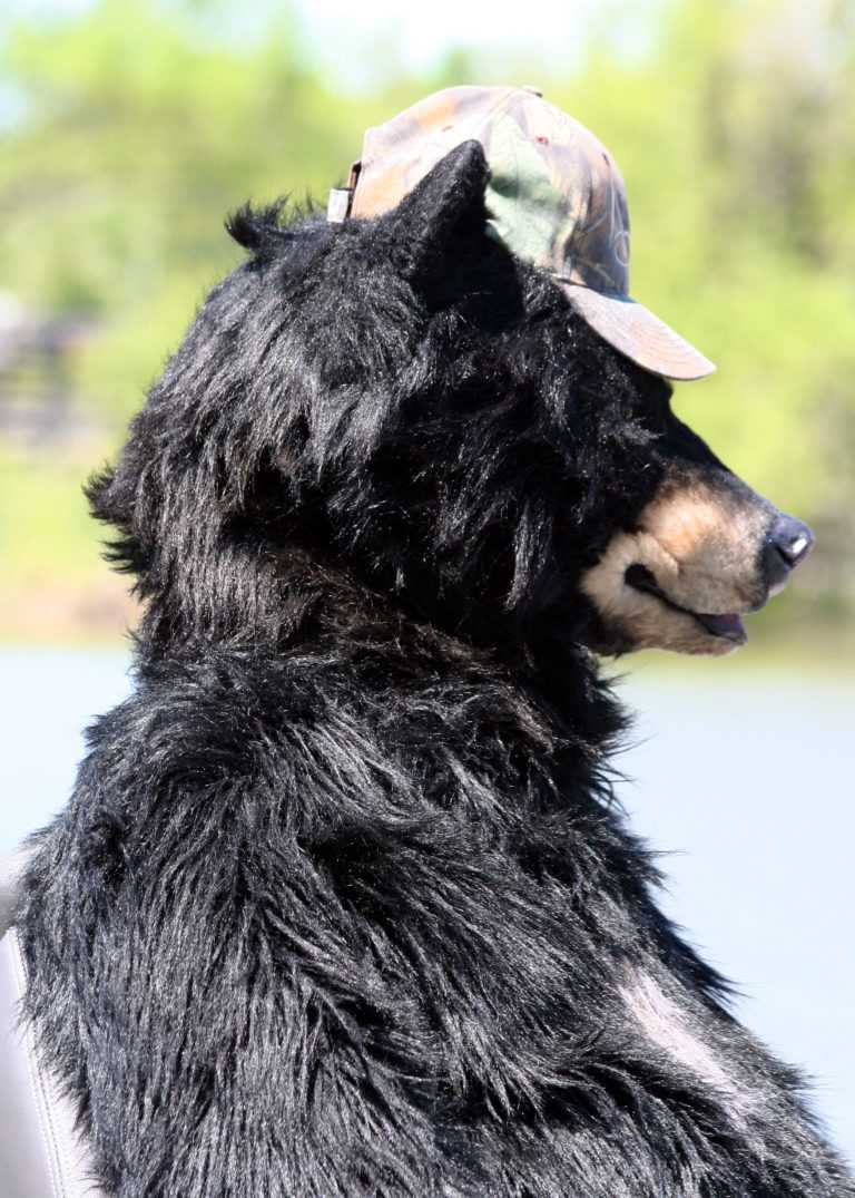 realistic animatronic bear suit