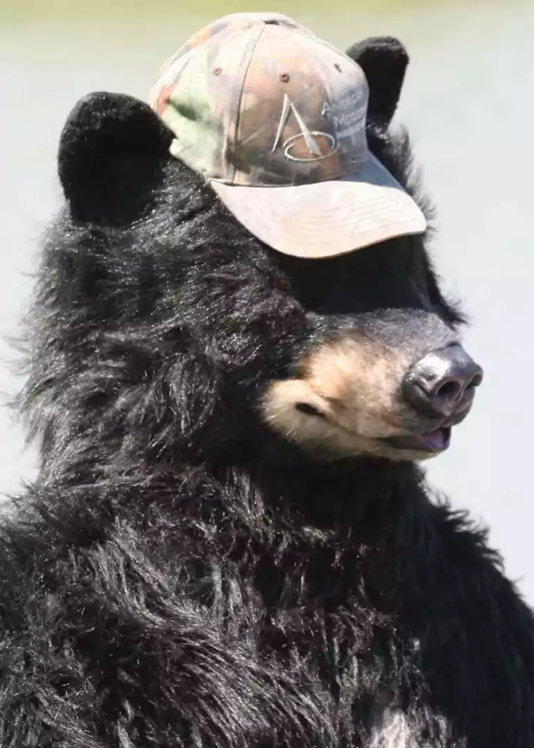 realistic animatronic bear costume