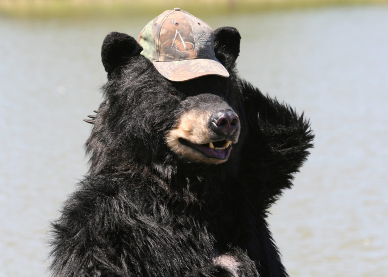 realistic black bear costume
