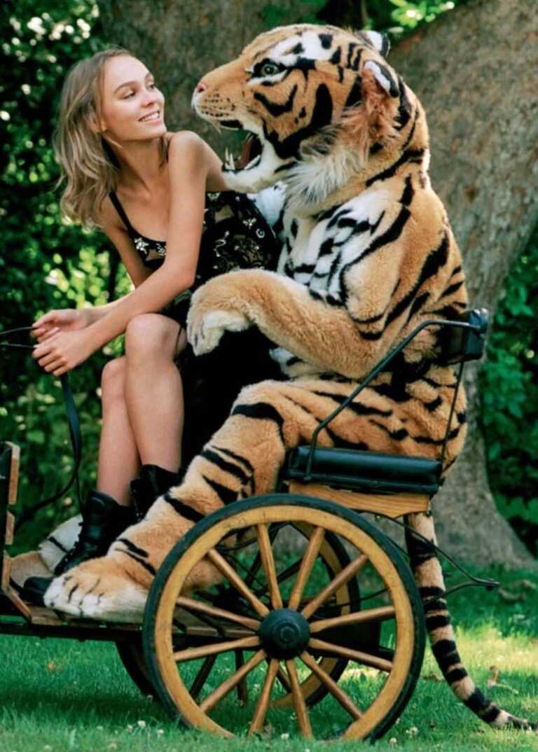 tiger costume photoshoot lily rose-depp