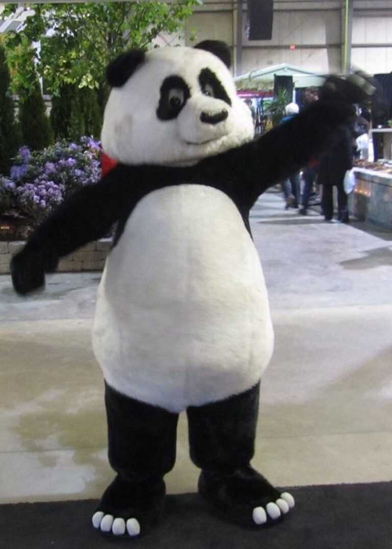 unique panda suit