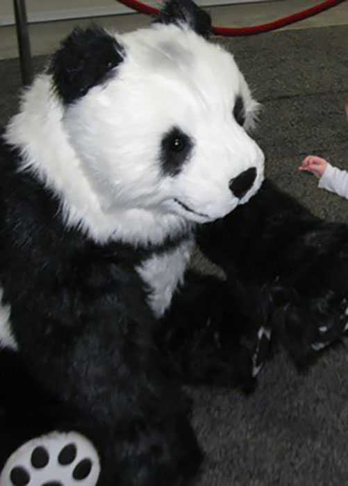 realistic panda bear costume