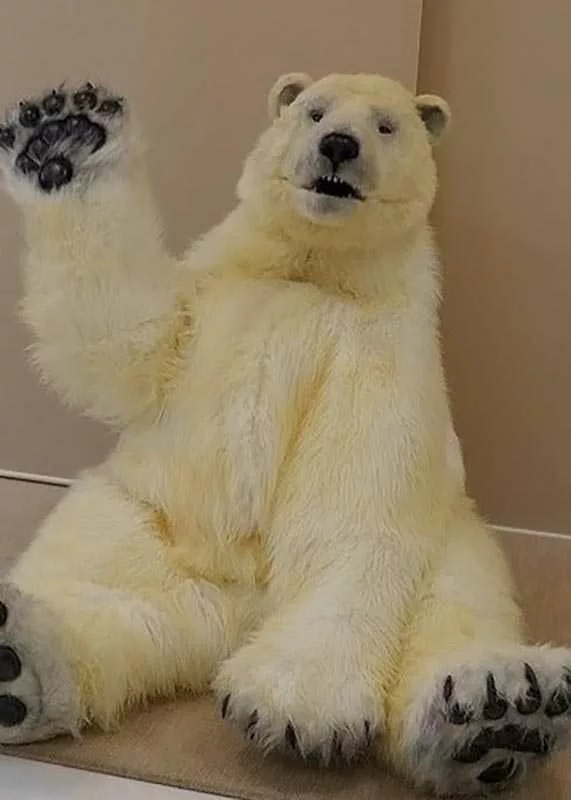 realistic polar bear cub costume