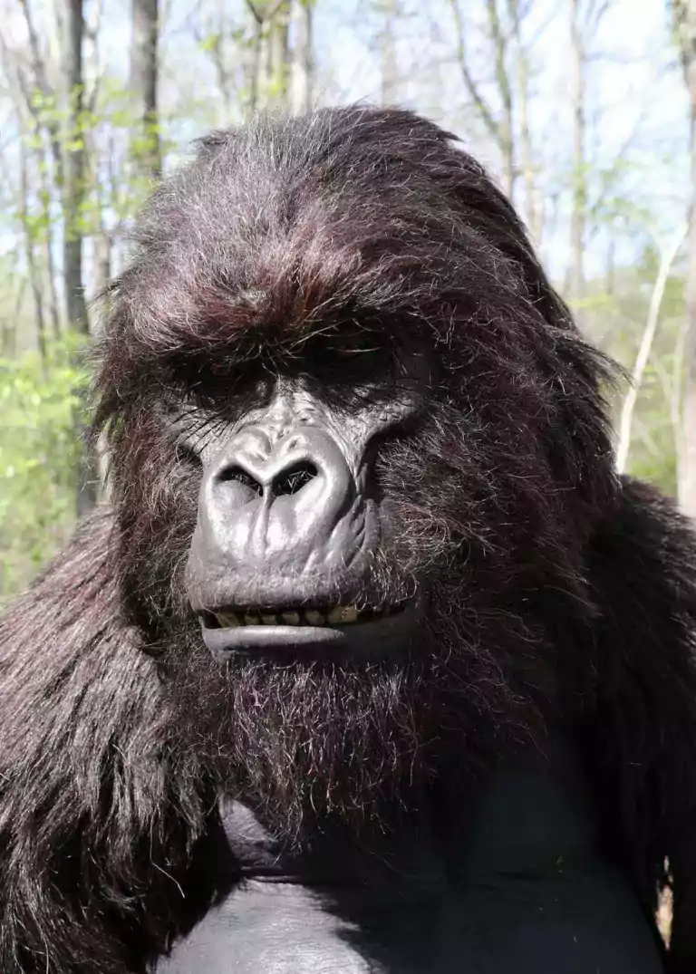 realistic gorilla costume