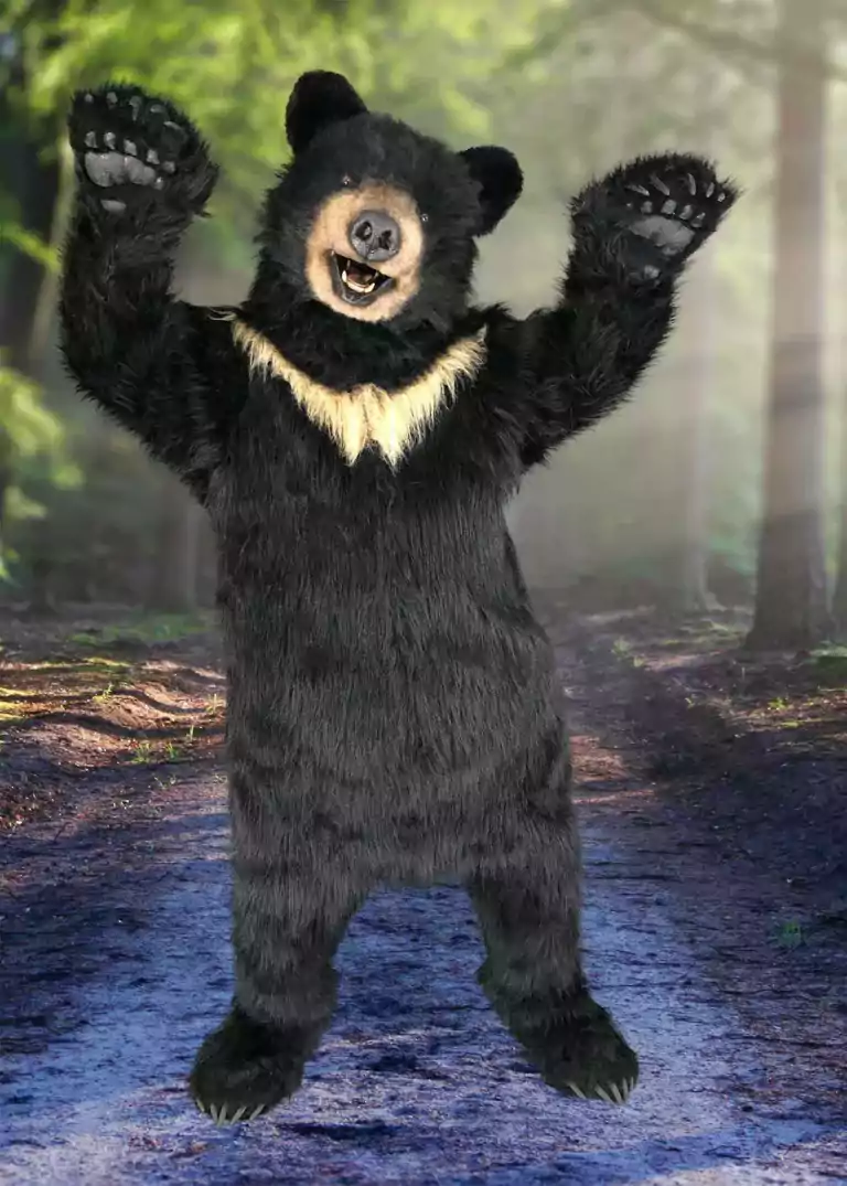 realistic black bear suit for hire