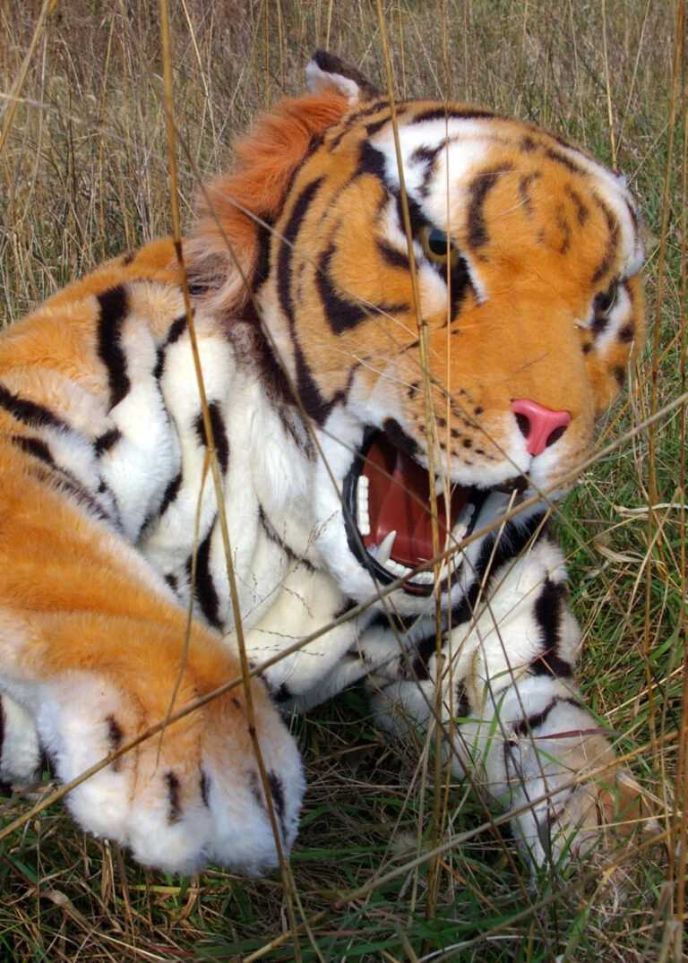 realistic tiger costume prop for film and tv