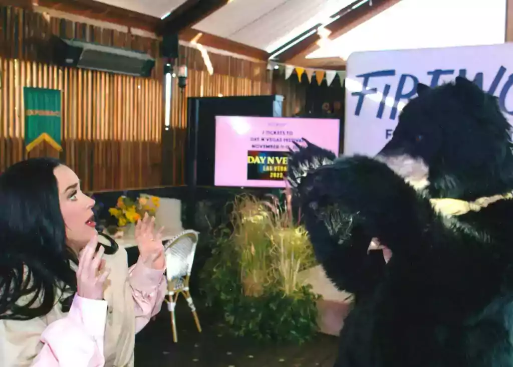 katy perry and matthew mason as the realistic bear party at the firework foundation