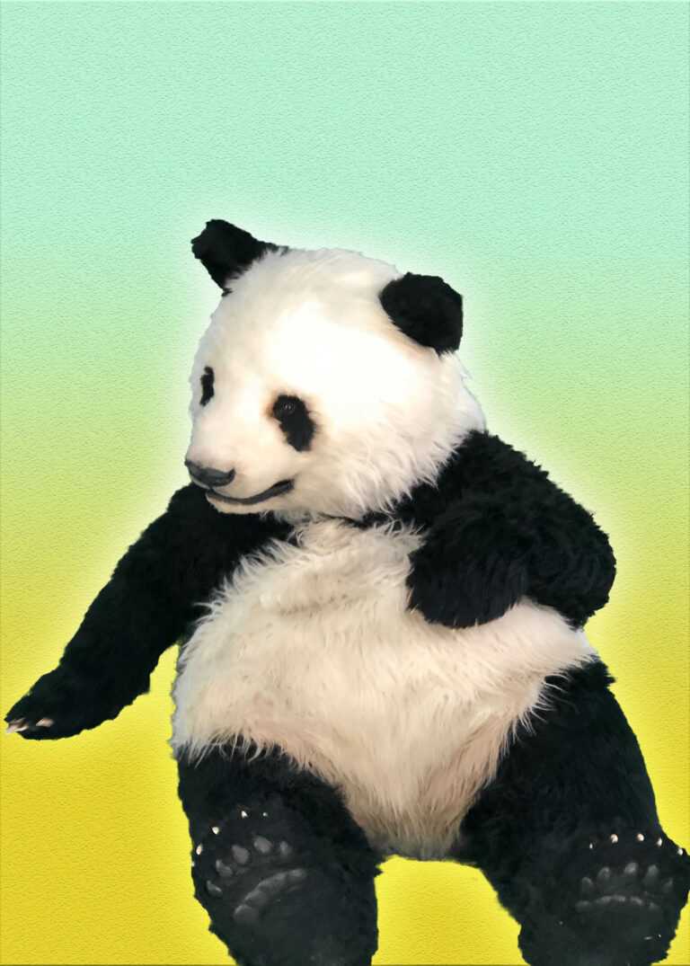 realistic panda costume for hire