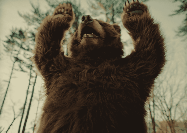 realistic bear costume for hire