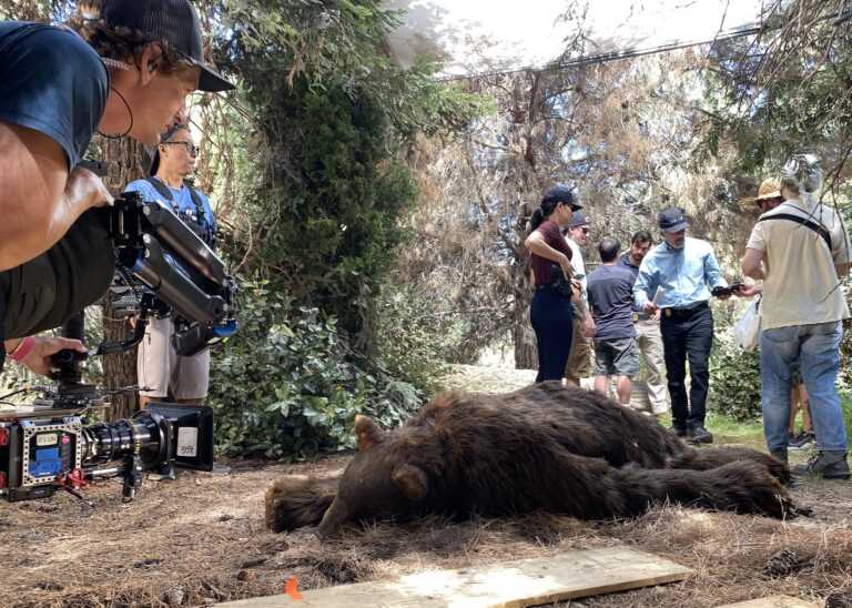 realistic bear suit for ncis s20e04