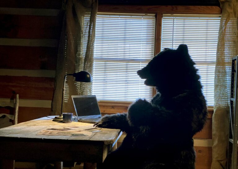 realistic black bear costume for big bear mountain dollywood