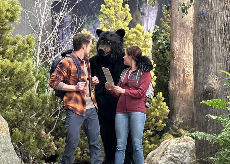 realistic black bear costume for colorado lottery