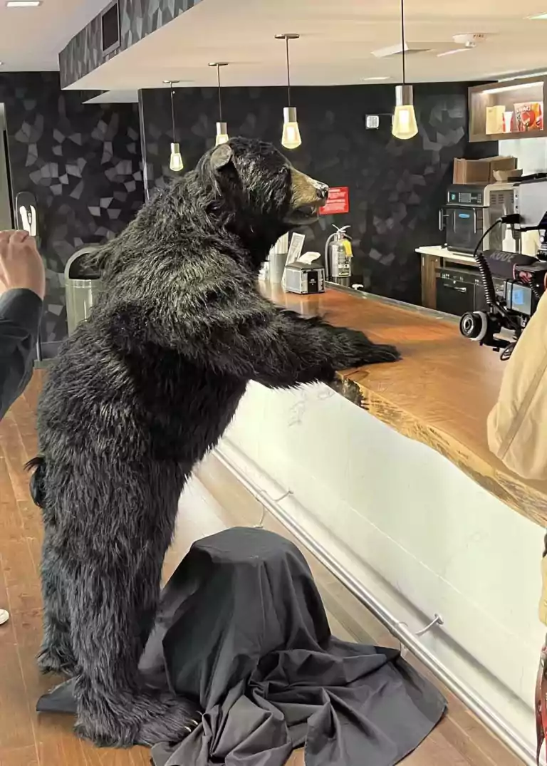 behind the scenes filming matthew mason in a realistic bear suit