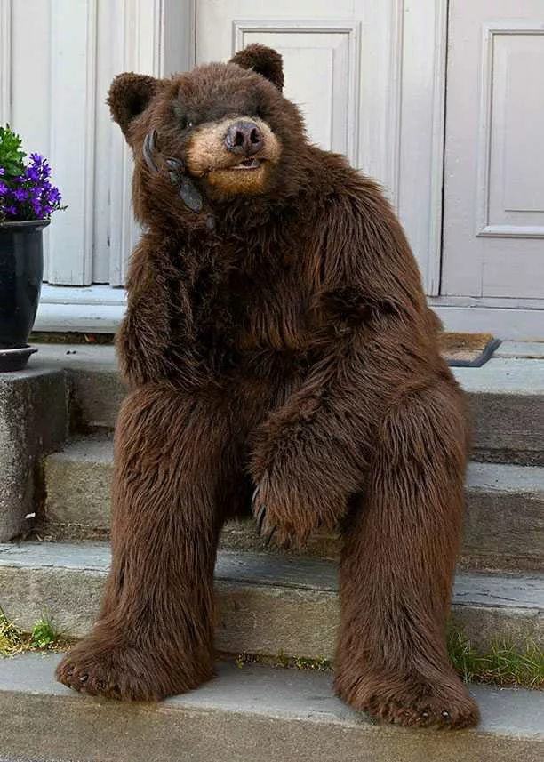 Life size store bear suit