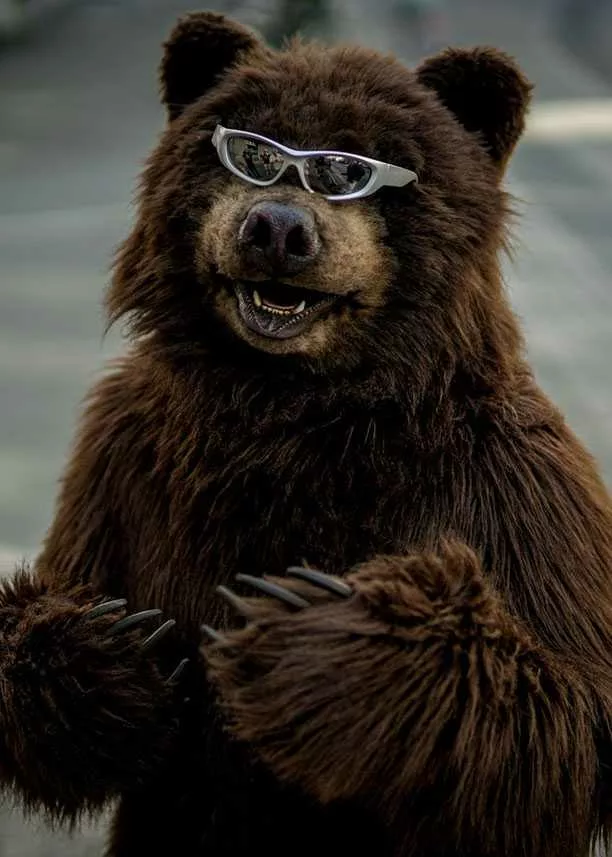 realistic black bear costume for hire