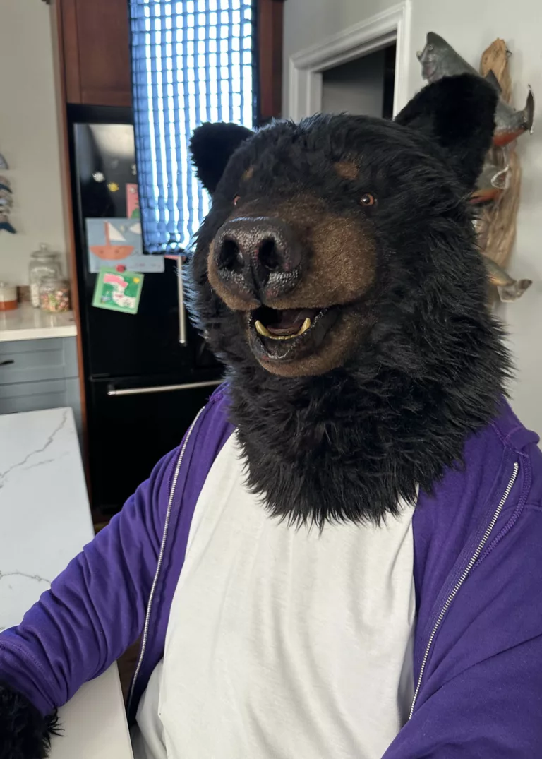 realistic black bear suit for dare foods bear paw cookies