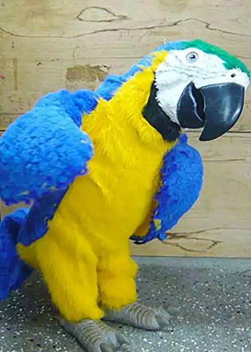 realistic animatronic parrot costume