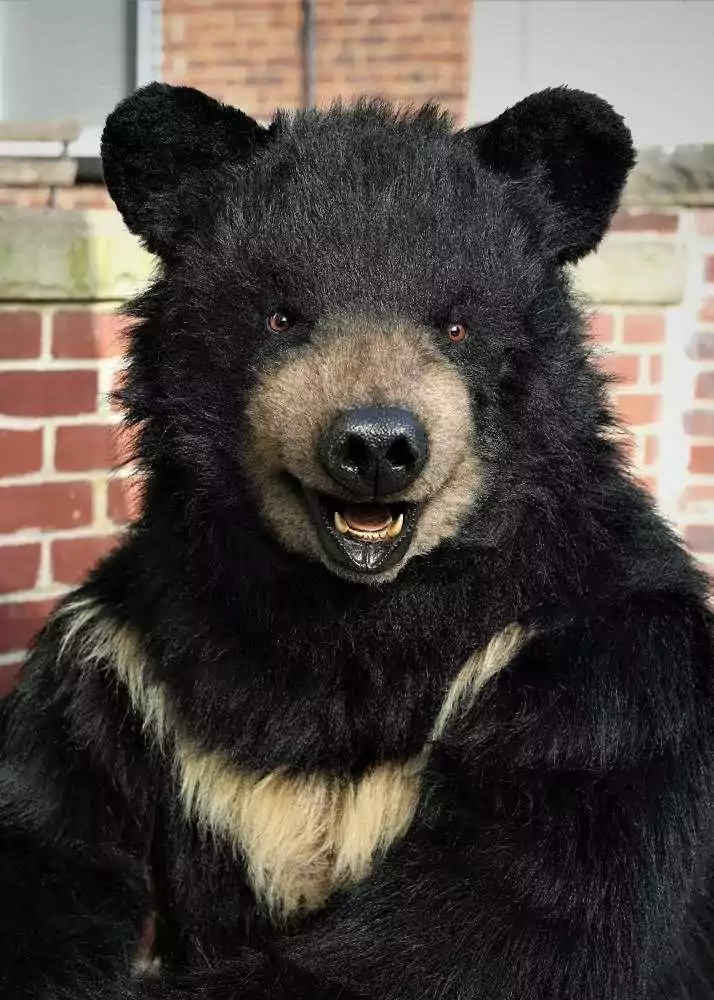 animatronic special effects asiatic black bear costume